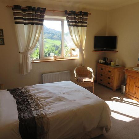 Heulwen Guest House ドルゲラウ エクステリア 写真