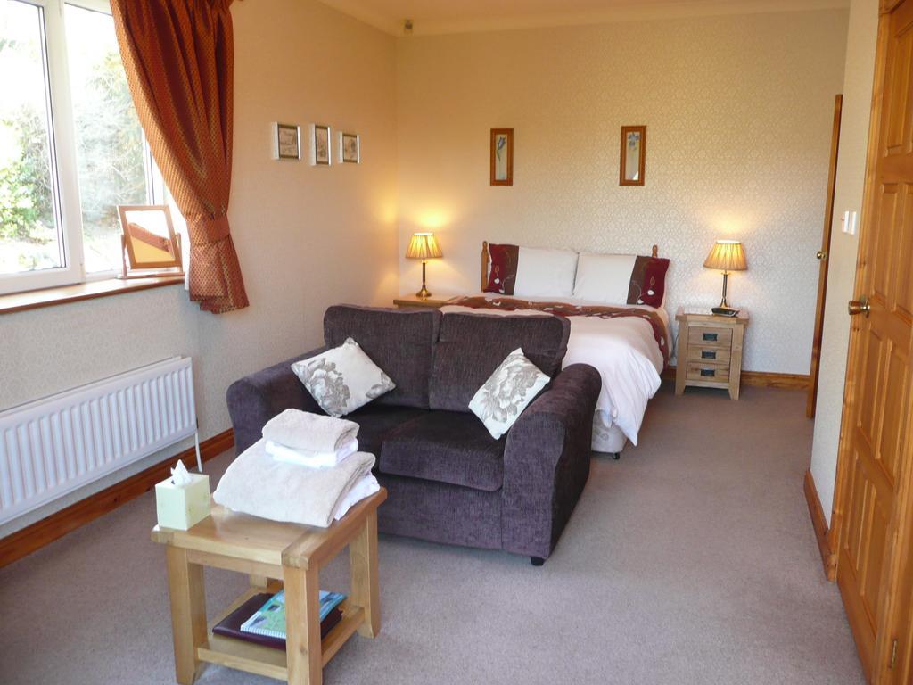 Heulwen Guest House ドルゲラウ 部屋 写真