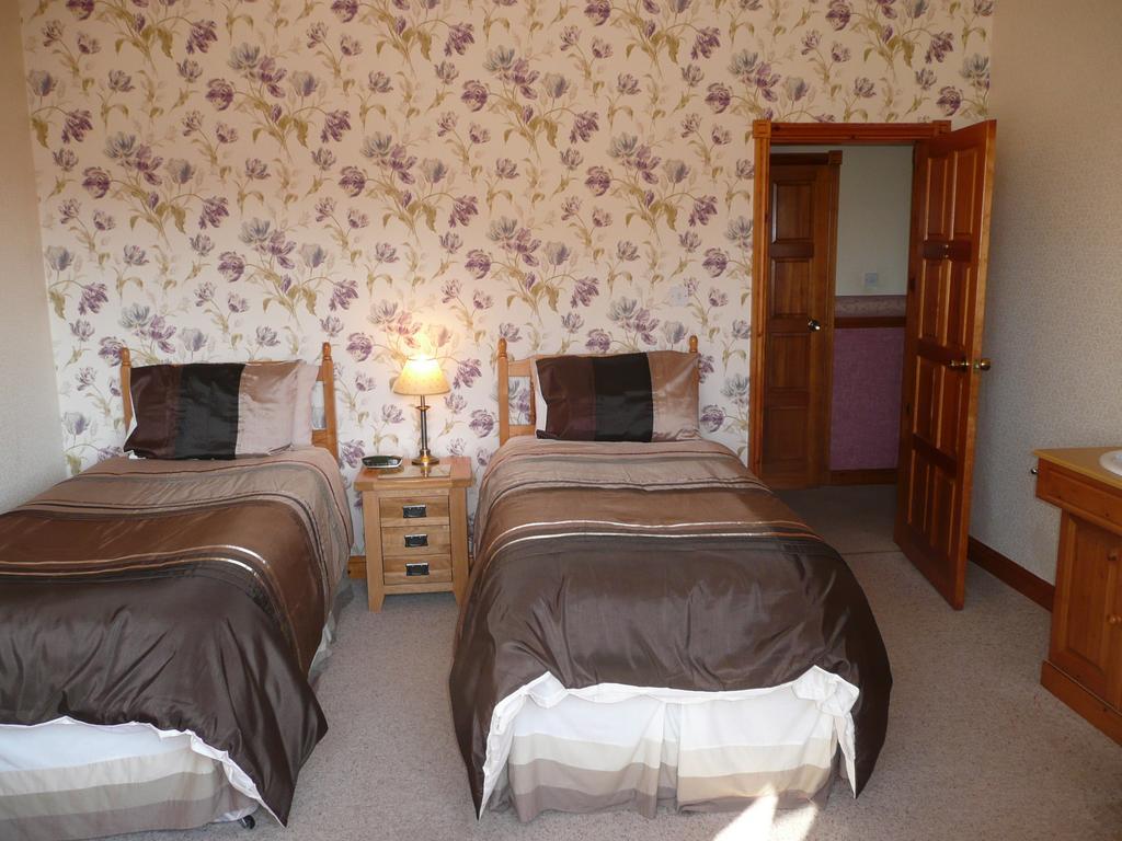 Heulwen Guest House ドルゲラウ 部屋 写真