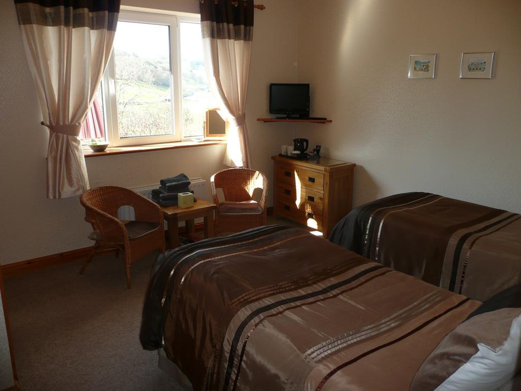 Heulwen Guest House ドルゲラウ 部屋 写真